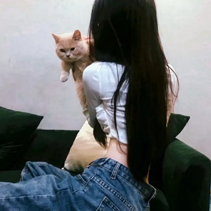 菊花香